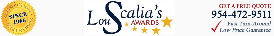 lou-scalia-awards